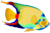 pez-y-pescado-imagen-animada-0046