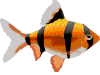 pez-y-pescado-imagen-animada-0049
