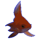 pez-y-pescado-imagen-animada-0080
