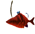 pez-y-pescado-imagen-animada-0081