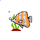 pez-y-pescado-imagen-animada-0324