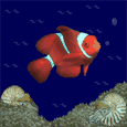 pez-y-pescado-imagen-animada-0379