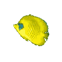 pez-y-pescado-imagen-animada-0386