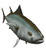 pez-y-pescado-imagen-animada-0419