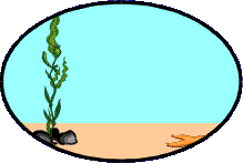 pez-y-pescado-imagen-animada-0524