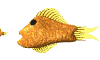 pez-y-pescado-imagen-animada-0566
