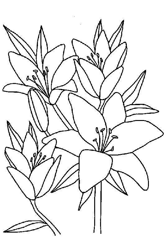 dibujo-para-colorear-flor-imagen-animada-0033