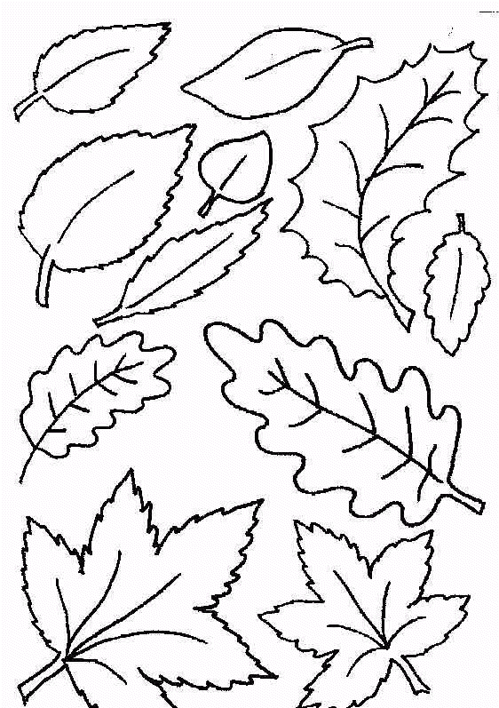 ▷ Dibujos para Colorear Hojas Imágenes Animadas, Gifs y Animaciones ¡ % GRATIS! de hojas para colorear ▷ Dibujos para Colorear Hojas Imágenes Animadas, Gifs y Animaciones ¡ % GRATIS!