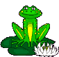 rana-imagen-animada-0066