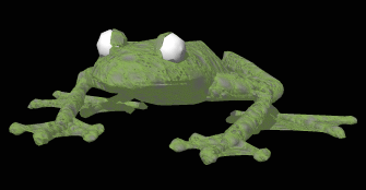 rana-imagen-animada-0224