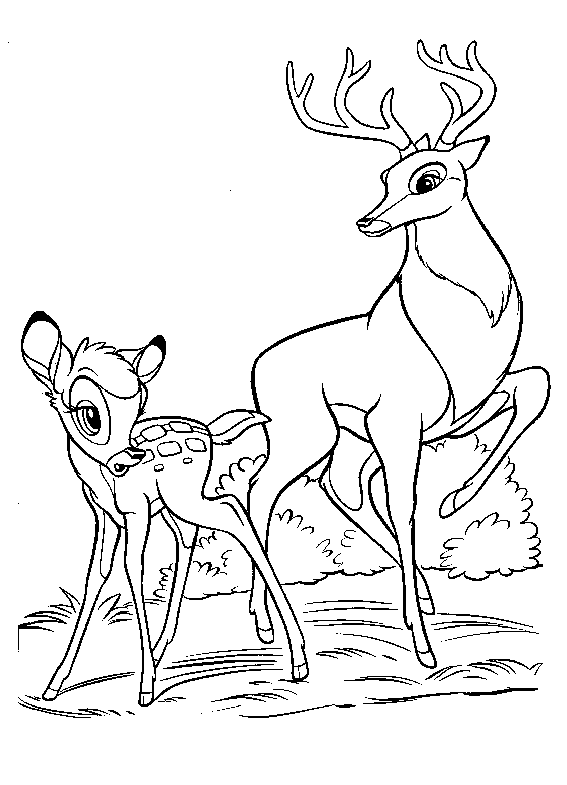 dibujo-para-colorear-bambi-imagen-animada-0021