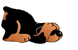 perro-imagen-animada-0290