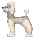 perro-imagen-animada-0568