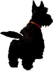 perro-imagen-animada-0708