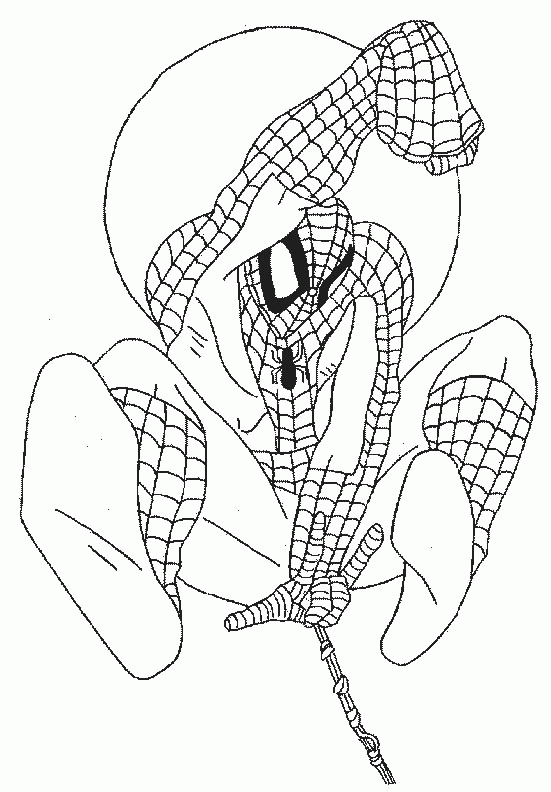 dibujo-para-colorear-spiderman-imagen-animada-0028