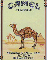 camello-imagen-animada-0024