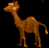 camello-imagen-animada-0028