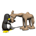 camello-imagen-animada-0043