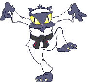 gato-imagen-animada-0004