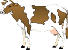 vaca-imagen-animada-0207