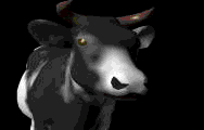 vaca-imagen-animada-0229