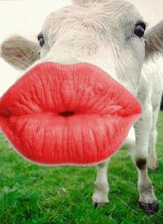 ▷ Vacas: Imágenes Animadas, Gifs y Animaciones ¡100% GRATIS!