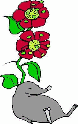 topo-imagen-animada-0037