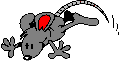 raton-imagen-animada-0180