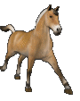 caballo-imagen-animada-0128