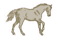 caballo-imagen-animada-0140