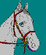 caballo-imagen-animada-0141