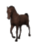 caballo-imagen-animada-0166