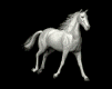 caballo-imagen-animada-0233