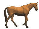 caballo-imagen-animada-0259