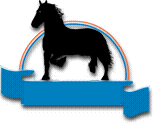 caballo-imagen-animada-0296