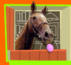 caballo-imagen-animada-0303