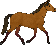 caballo-imagen-animada-0312