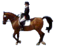 caballo-imagen-animada-0352