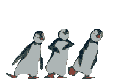 pinguino-imagen-animada-0051