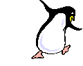 pinguino-imagen-animada-0055