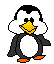 pinguino-imagen-animada-0118