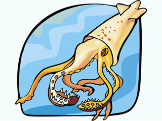 calamar-y-sepia-imagen-animada-0026