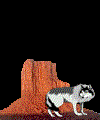lobo-imagen-animada-0008
