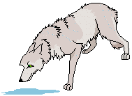 lobo-imagen-animada-0011