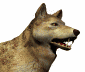lobo-imagen-animada-0061