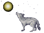 lobo-imagen-animada-0069
