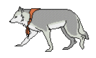 lobo-imagen-animada-0094