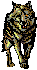 lobo-imagen-animada-0118