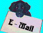 correo-electronico-y-email-imagen-animada-0267