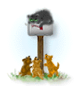 correo-electronico-y-email-imagen-animada-0399